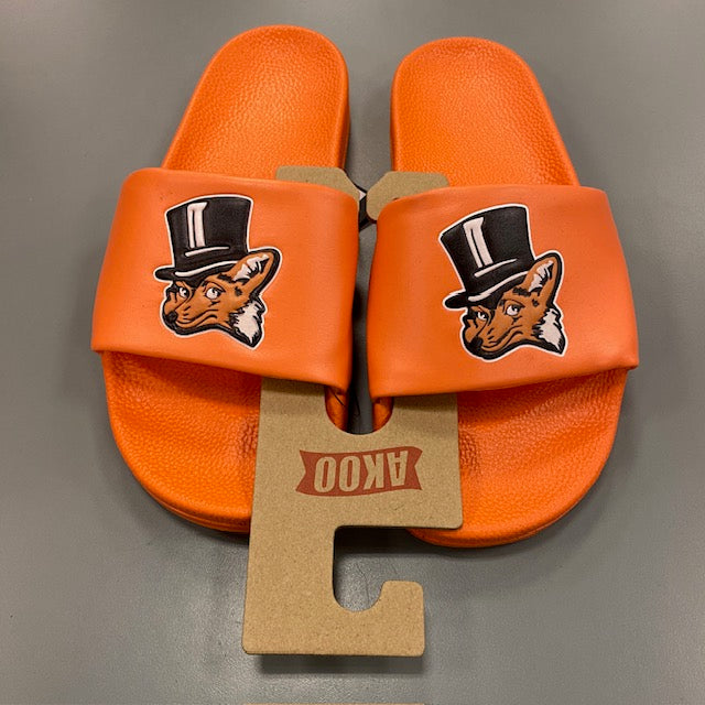 Akoo Slides