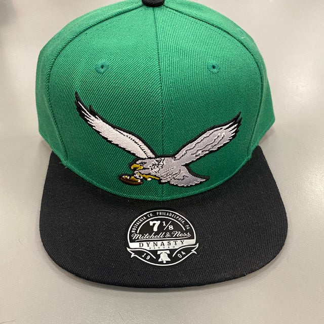 Eagles Bird Fitted Hat
