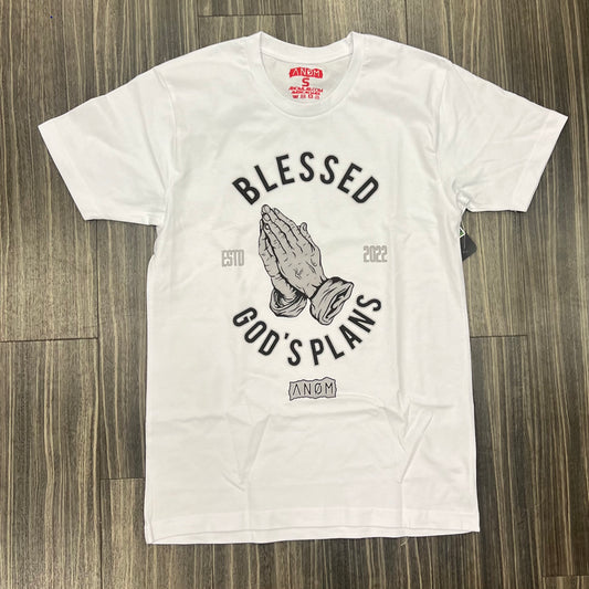 Blessed God Plans T- Shirt